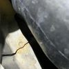 daihatsu tanto 2004 -DAIHATSU--Tanto CBA-L350S--L350S-0049371---DAIHATSU--Tanto CBA-L350S--L350S-0049371- image 24