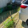 toyota wish 2011 CFJ1759812 image 4