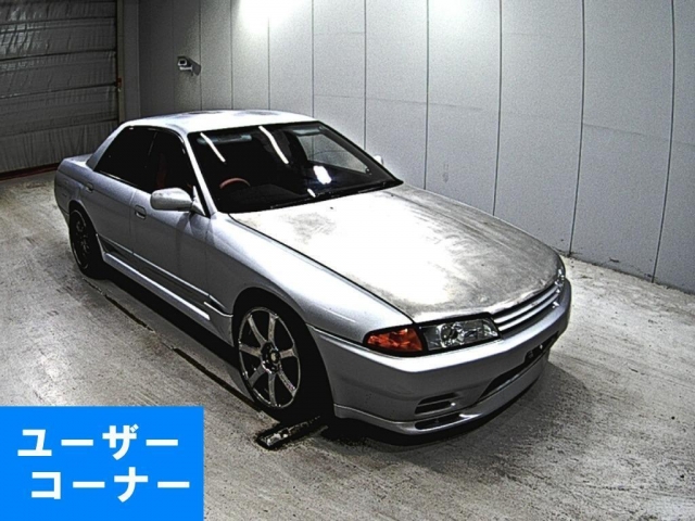 期間限定 数量限定 エレナゴリナ 絵画 90／100 1993年