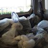 daihatsu move-conte 2011 -DAIHATSU 【尾張小牧 583ｽ2574】--Move Conte DBA-L575S--L575S-0122785---DAIHATSU 【尾張小牧 583ｽ2574】--Move Conte DBA-L575S--L575S-0122785- image 14