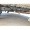 nissan elgrand 2012 -NISSAN--Elgrand DBA-TE52--TE52-034871---NISSAN--Elgrand DBA-TE52--TE52-034871- image 22