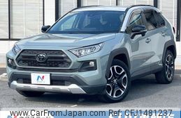toyota rav4 2019 CFJ1481237