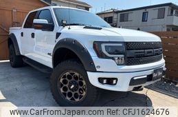 ford f150 2011 CFJ1624676