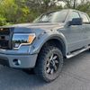 ford f150 2009 GOO_NET_EXCHANGE_0707911A30250725W001 image 8
