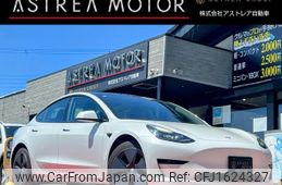tesla-motors model-3 2021 CFJ1624327