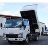 isuzu elf-truck 2019 GOO_NET_EXCHANGE_0230013A30250131W002 image 1