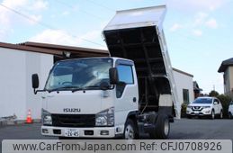 isuzu elf-truck 2019 GOO_NET_EXCHANGE_0230013A30250131W002