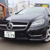 mercedes-benz cls-class 2013 quick_quick_RBA-218959_WDD2189592A077619 image 3