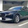 mazda cx-3 2019 CFJ1662523 image 24