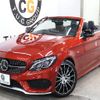 mercedes-benz amg 2017 -MERCEDES-BENZ--AMG CBA-205464--WDD2054642F646523---MERCEDES-BENZ--AMG CBA-205464--WDD2054642F646523- image 11