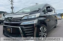 toyota vellfire 2019 CFJ0004523