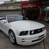 ford mustang 2008 -FORD--Ford Mustang ﾌﾒｲ--ｼﾝ??42??81219---FORD--Ford Mustang ﾌﾒｲ--ｼﾝ??42??81219- image 1