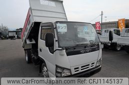 isuzu elf-truck 2007 GOO_NET_EXCHANGE_0701687A30250512W002