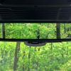 land-rover range-rover 2024 CFJ1711346 image 6