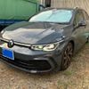 volkswagen golf-variant 2023 CFJ1650653 image 1