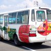 toyota coaster 2001 CFJ1564100 image 3