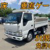 isuzu elf-truck 2009 CFJ1308728 image 1