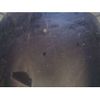 mitsubishi delica-d2 2019 -MITSUBISHI--Delica D2 MB36S-250798---MITSUBISHI--Delica D2 MB36S-250798- image 12