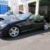 mercedes-benz slk-class 2011 quick_quick_DBA-172448_WDD1724482F019388 image 6