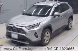 toyota rav4 2019 CFJ1823665
