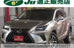 lexus nx 2019 CFJ1530777