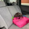 honda stepwagon 2006 CFJ1834805 image 12