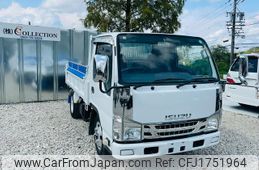 isuzu elf-truck 2010 CFJ1751964