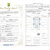 fiat フィアット-パンダ 2014 CFJ1582692 image 44
