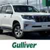 toyota land-cruiser-prado 2019 -TOYOTA--Land Cruiser Prado LDA-GDJ150W--GDJ150-0041382---TOYOTA--Land Cruiser Prado LDA-GDJ150W--GDJ150-0041382- image 1