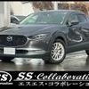 mazda cx-3 2019 -MAZDA--CX-30 DM8P--102680---MAZDA--CX-30 DM8P--102680- image 1