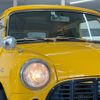 austin mini 1994 CFJ1637301 image 9