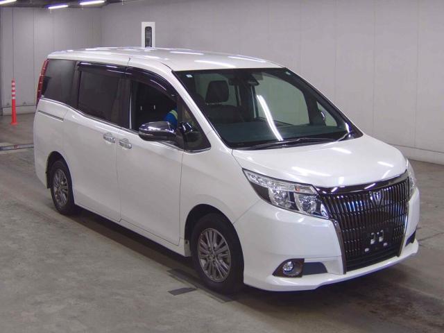 Esquire(非売品) YJB PARTS Esquire エスクワイヤー用ピックガード ベークライト