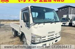 isuzu elf-truck 2009 GOO_NET_EXCHANGE_1150088A30241220W002