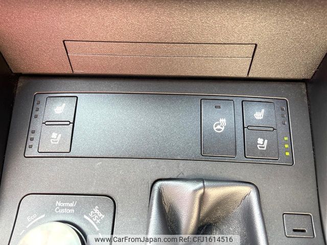 lexus is 2020 CFJ1614516 image 2