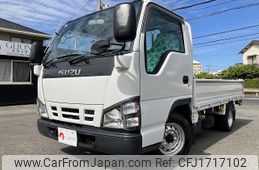 isuzu elf-truck 2006 CFJ1717102
