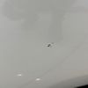 toyota sienta 2022 -TOYOTA--Sienta 6AA-MXPL10G--MXPL10-1014764---TOYOTA--Sienta 6AA-MXPL10G--MXPL10-1014764- image 14