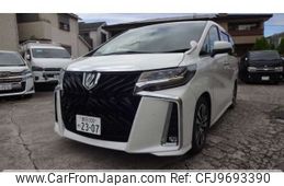 toyota alphard 2019 -TOYOTA 【豊田 300ﾜ2307】--Alphard DAA-AYH30W--AYH30-0088486---TOYOTA 【豊田 300ﾜ2307】--Alphard DAA-AYH30W--AYH30-0088486-