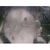 toyota porte 2014 -TOYOTA--Porte DBA-NSP140--NSP140-9015542---TOYOTA--Porte DBA-NSP140--NSP140-9015542- image 7