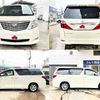 toyota alphard 2010 CFJ1837838 image 8