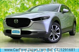 mazda cx-3 2019 quick_quick_3AA-DMFP_DMFP-100495