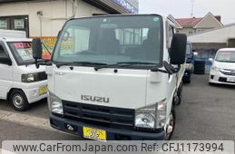 isuzu elf-truck 2010 GOO_NET_EXCHANGE_0904288A30250520W001