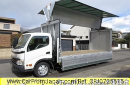 toyota dyna-truck 2010 GOO_NET_EXCHANGE_0200468A30250203W001