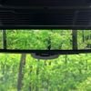 land-rover range-rover-evoque 2024 CFJ1712816 image 6