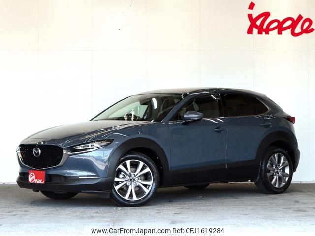 mazda cx-3 2019 CFJ1619284 image 1