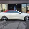 mercedes-benz e-class 2016 quick_quick_RBA-207436_WDD2074362F343503 image 11