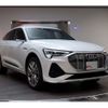 audi a3-sportback-e-tron 2021 -AUDI--Audi e-tron ZAA-GEEAS--WAUZZZGE8LB035393---AUDI--Audi e-tron ZAA-GEEAS--WAUZZZGE8LB035393- image 12