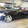 mercedes-benz slk-class 2013 quick_quick_DBA-172448_WDD1724482F059040 image 7