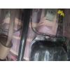 daihatsu boon 2018 CFJ1780873 image 13