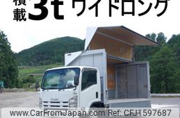 isuzu elf-truck 2010 CFJ1597687