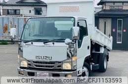 isuzu elf-truck 2010 GOO_NET_EXCHANGE_0404044A30250515W003
